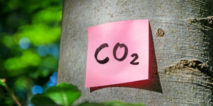IGT Receives Improved B Score for Carbon Footprint Policy from CDP
