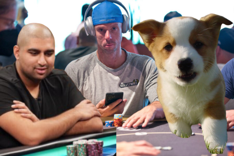 Matt Berkey Offers Emotional Support Puppy to Poker Rival "Nik Airball"